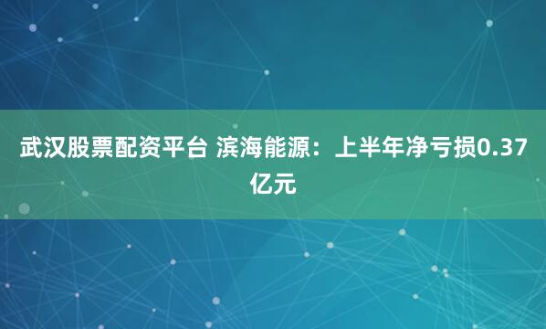 武汉股票配资平台 滨海能源：上半年净亏损0.37亿元