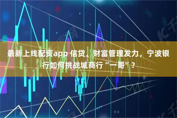 最新上线配资app 信贷、财富管理发力，宁波银行如何挑战城商行“一哥”？